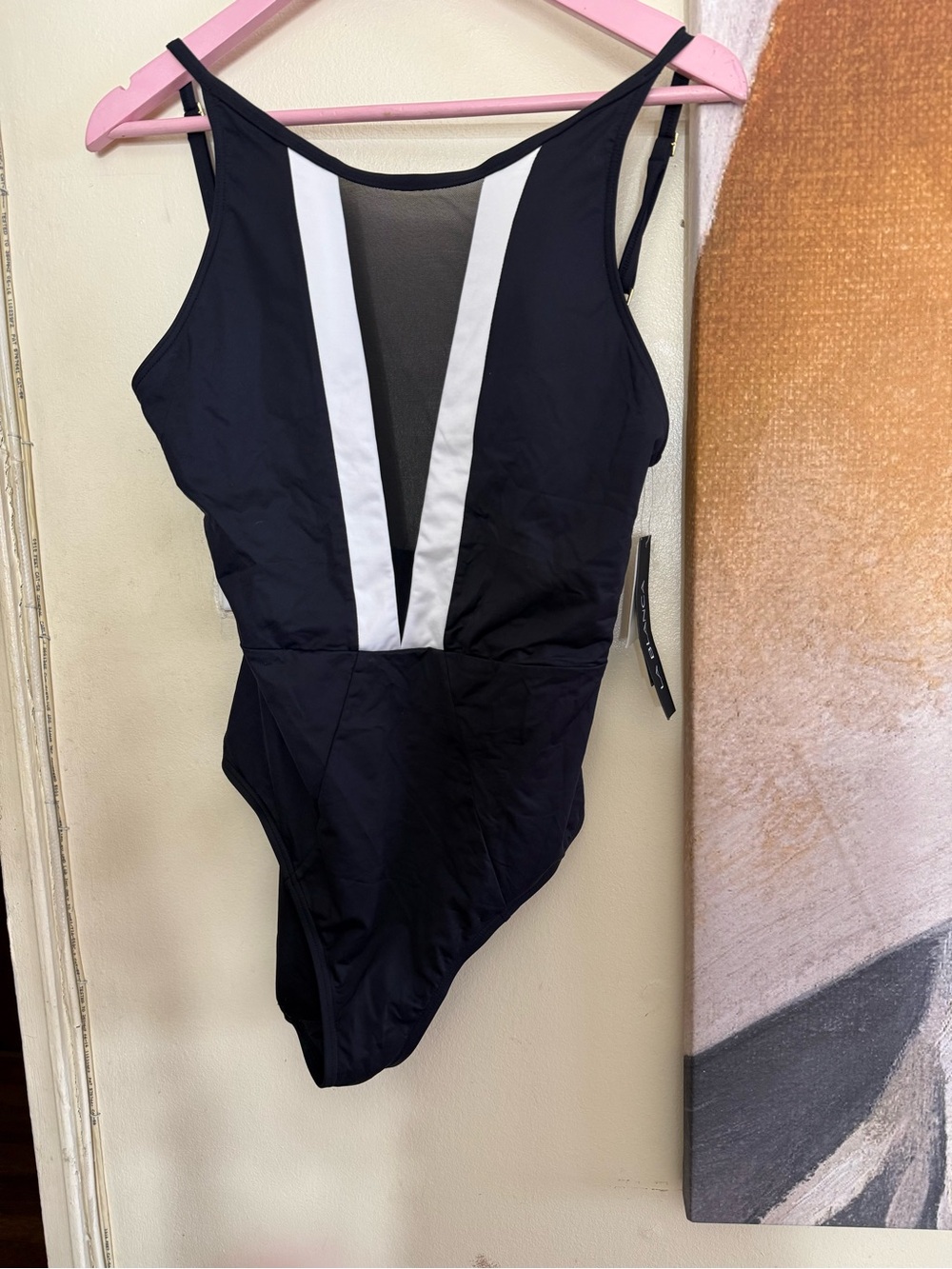 La Blanca Black One-Piece with White V-Panel